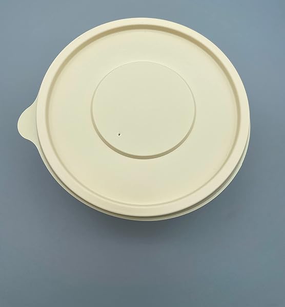 http://www.good-byeplastic.com/wp-content/uploads/imported/GOOD-BYEPLASTIC-100-PCS-Corn-starch-Compostable-Bowl-Lid-16-oz-Disposable-Large-Salad-Bowls-Lids-Bulk-Soup-Serving-Bow-B0BPYTZB26.jpg